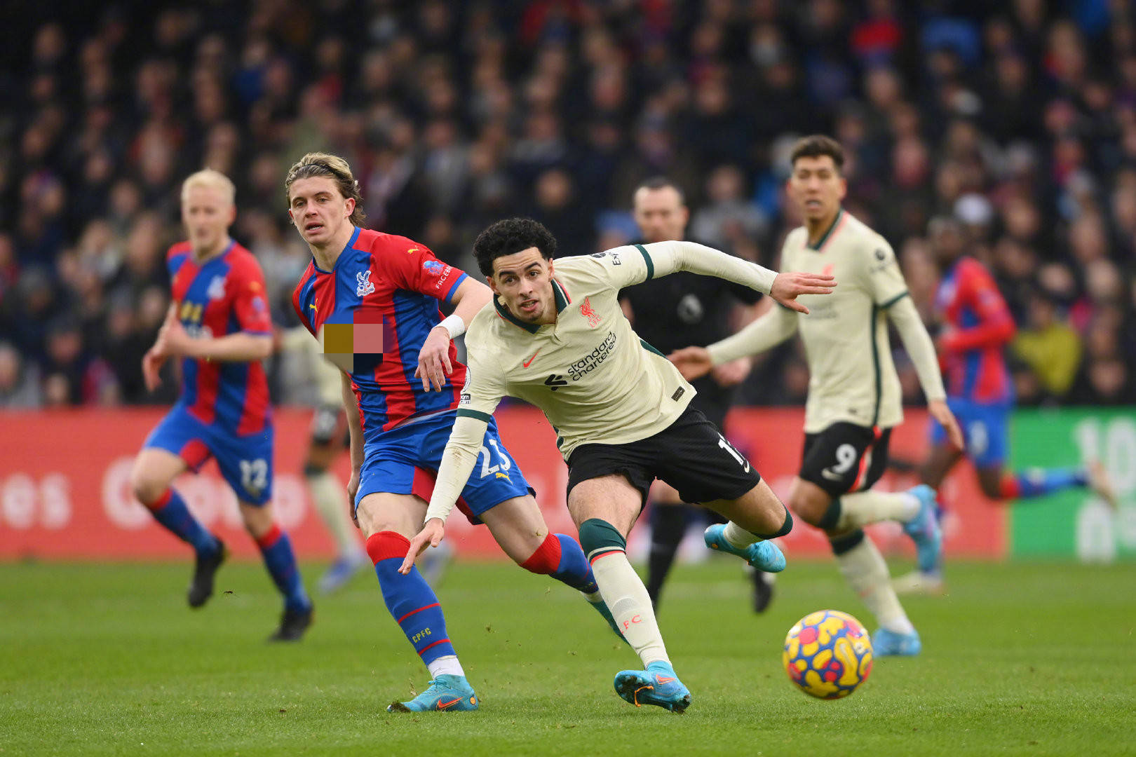 打破了地域 打破了地域